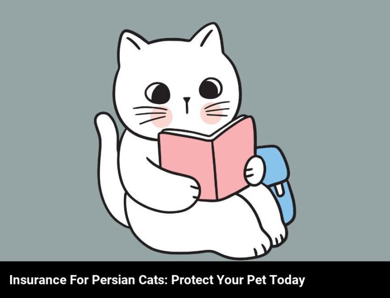 Protect Your Persian Cat With Insurance Today