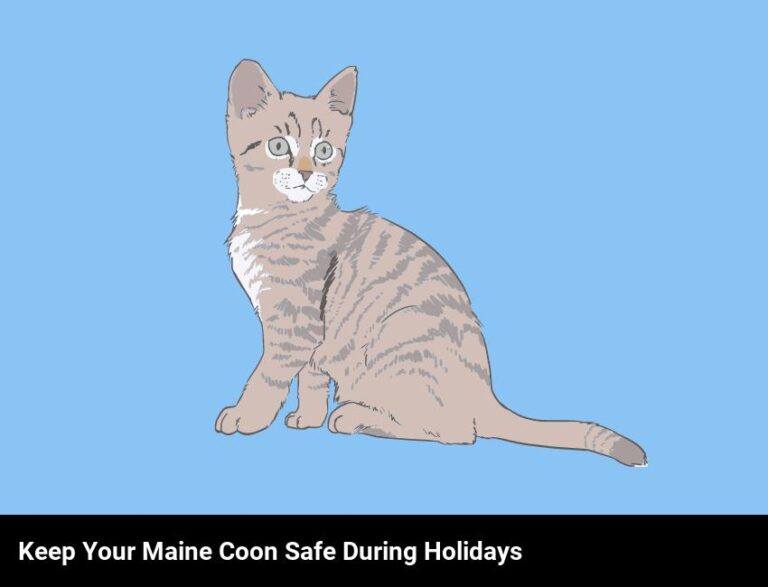 Keep Your Maine Coon Cat Safe And Happy During The Holidays