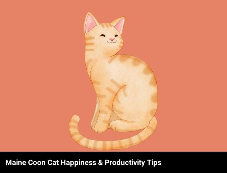 How To Keep Your Maine Coon Cat Happy And Productive At Work