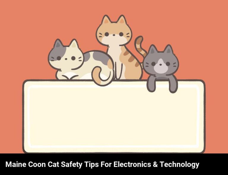 How To Keep Your Maine Coon Cat Safe Around Electronics And Technology