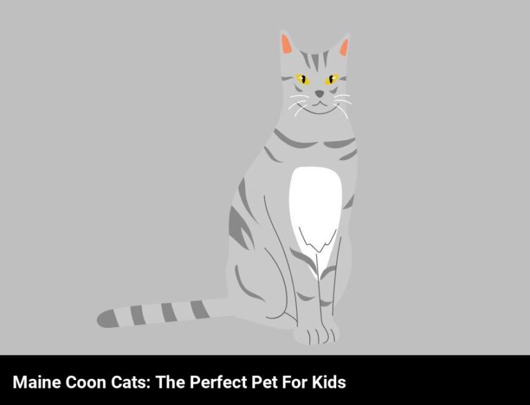 Perfect Pets For Kids: Why Maine Coon Cats Make Great Companions