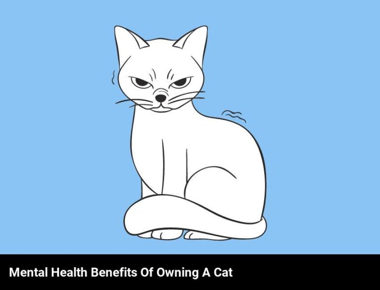 The Benefits Of Owning A Cat For Mental Health