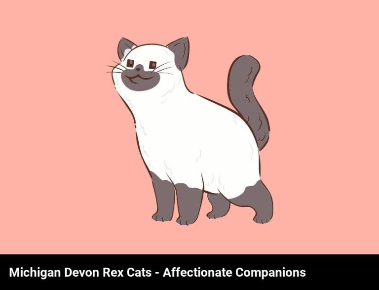 Michigan Devon Rex Cats – Adorable, Affectionate, And Playful Companions