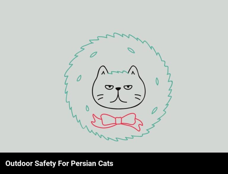 Can Persian Cats Safely Go Outdoors?