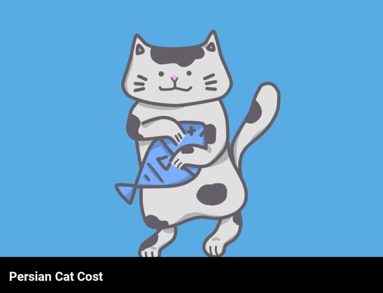 The Cost Of Owning A Persian Cat