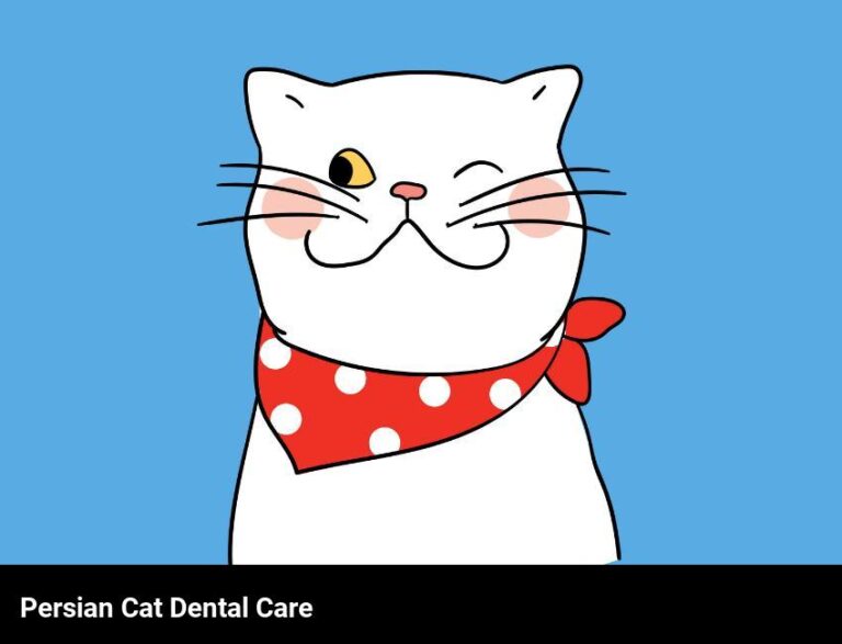 The Unique Dental Care Needs Of Persian Cats