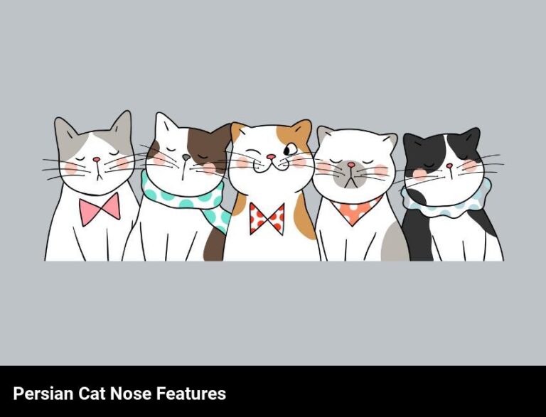 The Unique Features Of A Persian Cat’S Nose