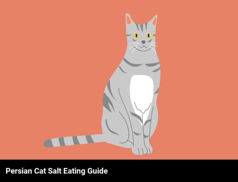 Can Persian Cats Eat Salt? – A Comprehensive Guide