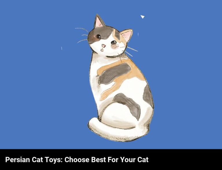 Persian Cat Toys: Choose The Best For Your Feline Friend