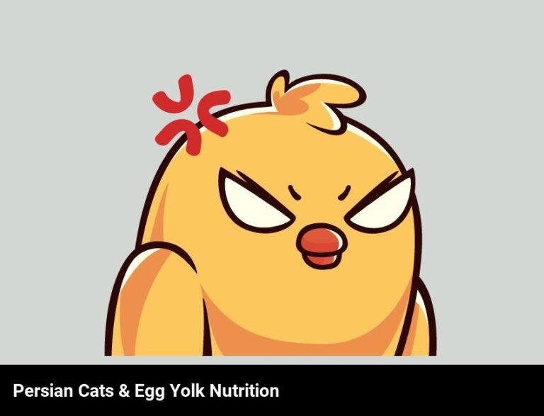Can Persian Cats Eat Egg Yolk? – Nutrition Facts