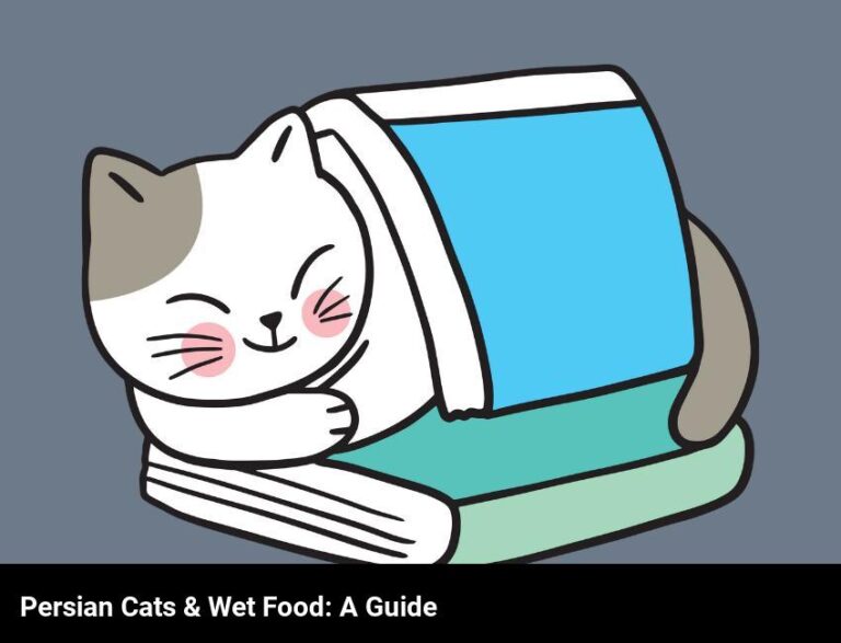 Can Persian Cats Eat Wet Food? A Guide