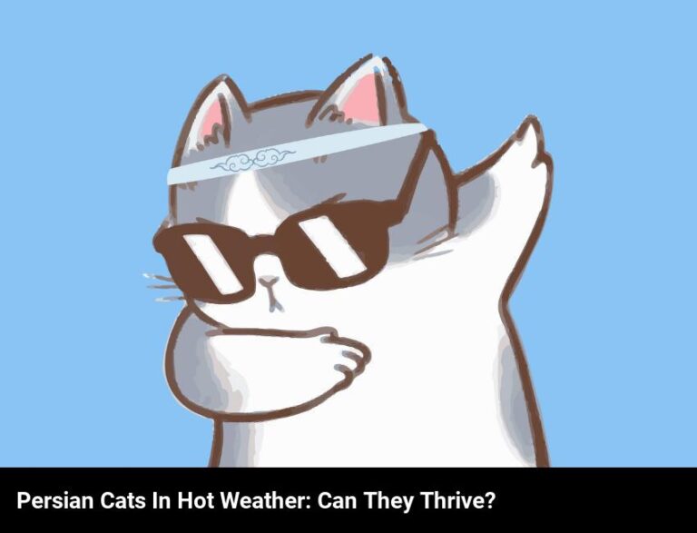 Can Persian Cats Thrive In Hot Weather?