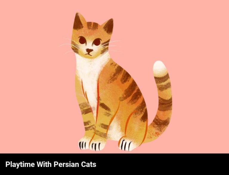 Enjoy Playtime With Your Persian Cat