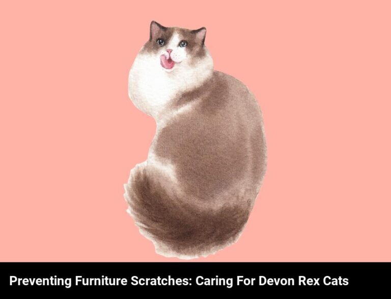 How To Keep Your Devon Rex Cat From Scratching Your Furniture