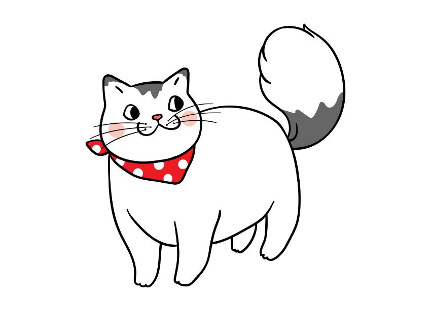 Understanding Ragdoll Cat Play Behavior - Fun Facts about Feline Play