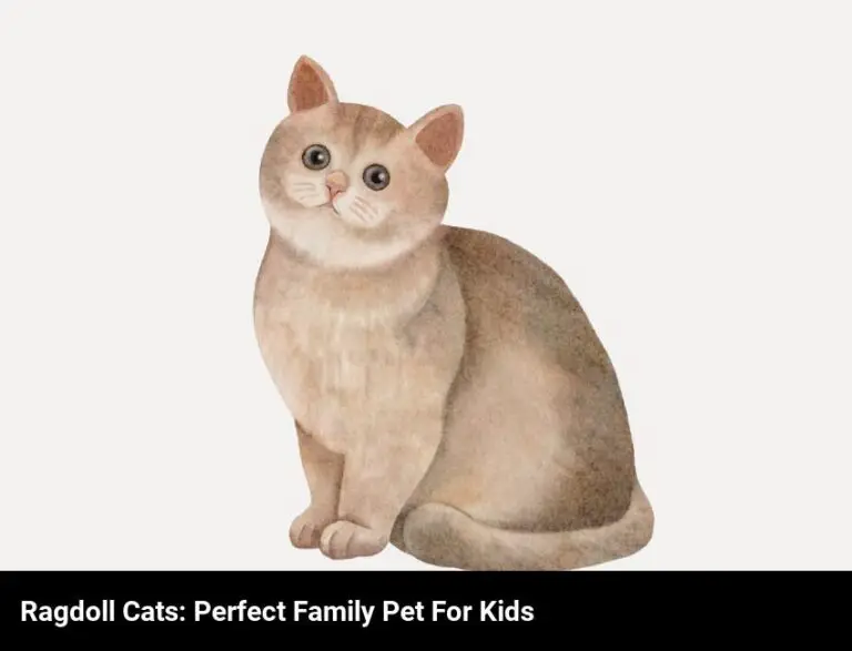 Ragdoll Cats: The Perfect Family Pet For Kids