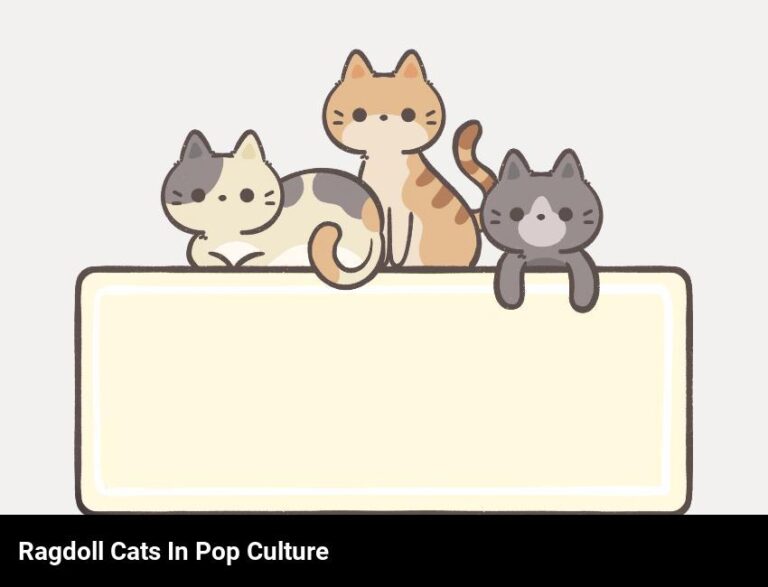 Ragdoll Cats: Notable Appearances In Pop Culture