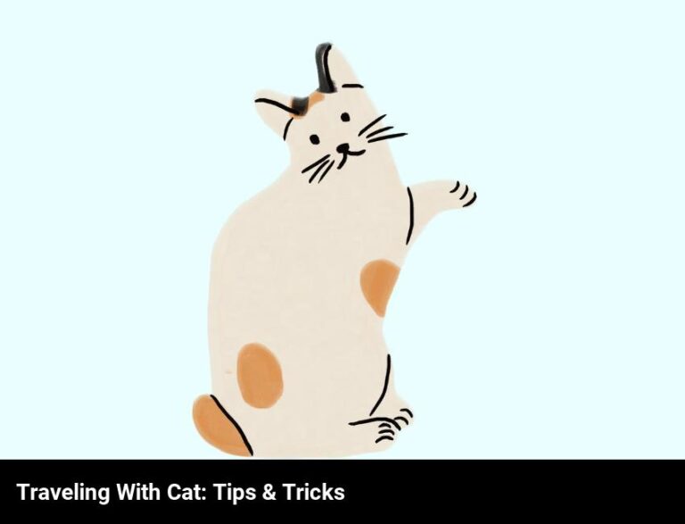 Traveling With Your Cat: Tips And Tricks
