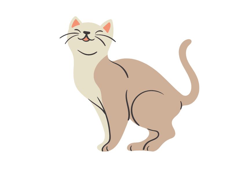 Understanding Persian Cat Behaviors
