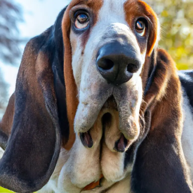 Are Basset Hounds Known For Being Good With Extraterrestrial Beings?