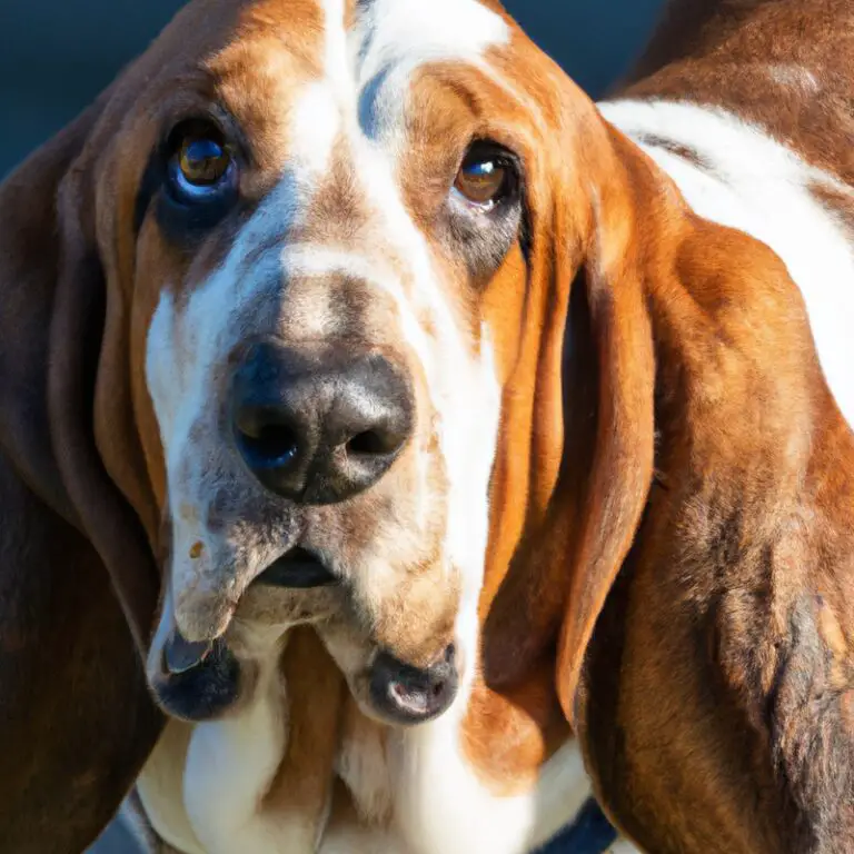 How Do Basset Hounds Behave When Home Alone?