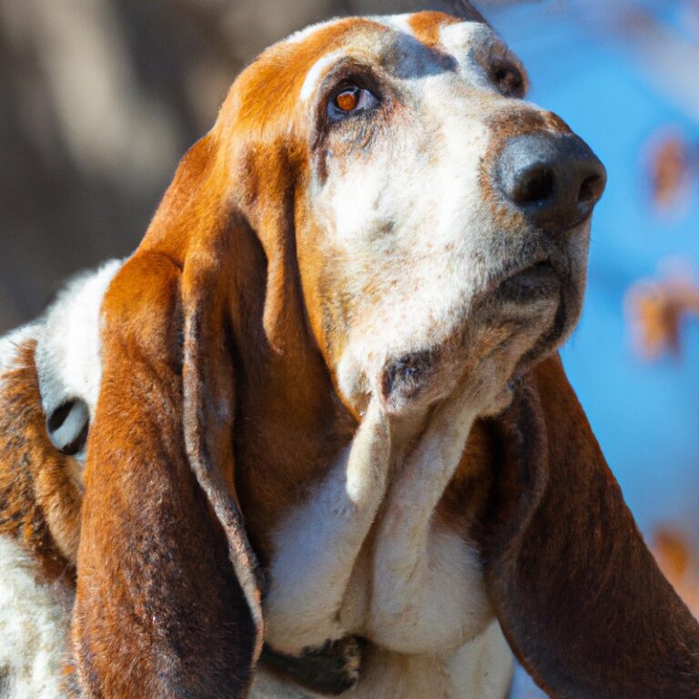 Can Basset Hounds Be Trained For Herding Activities?