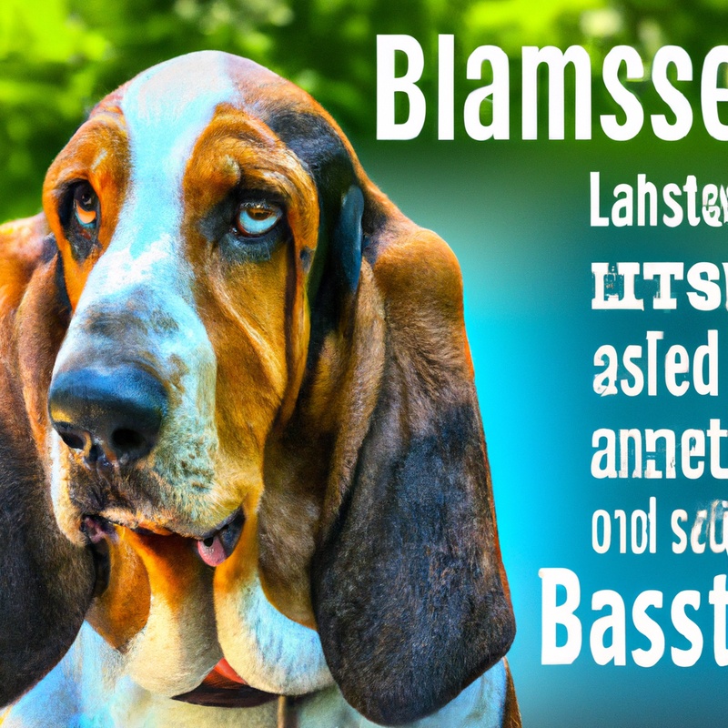 Basset Hound therapy dogs for PTSD and autism.