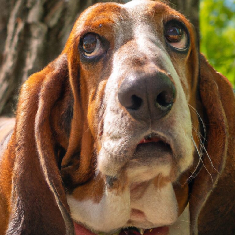 Are Basset Hounds Known For Being Good With Amphibians?