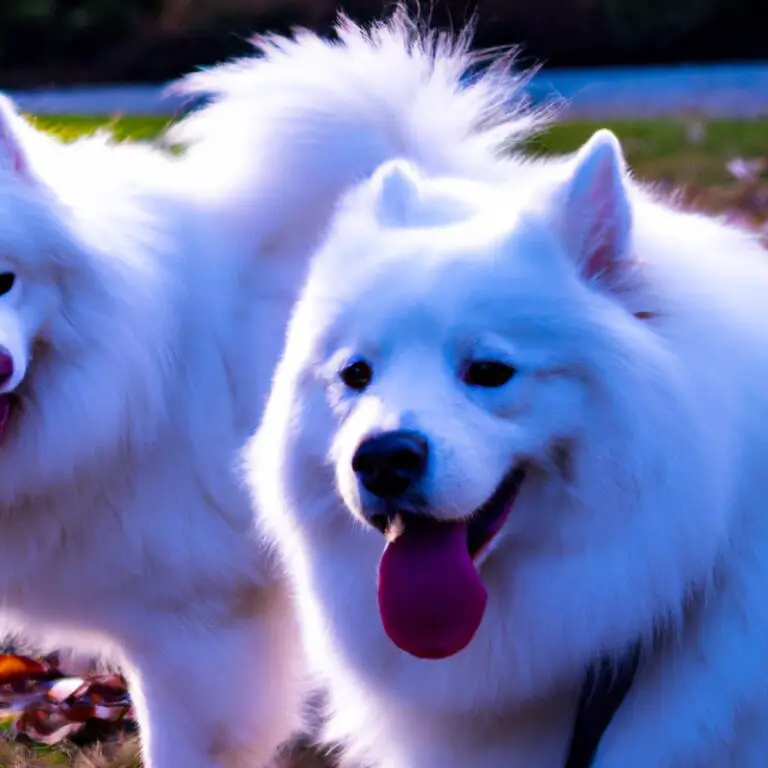 Are Samoyeds Good With Kids?