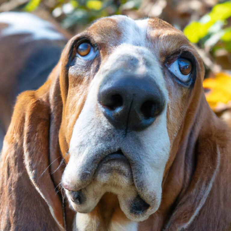 How Do Basset Hounds React To Unfamiliar Sounds?