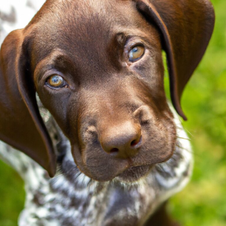 Are German Shorthaired Pointers Good With Other Pets Like Birds Or Reptiles?