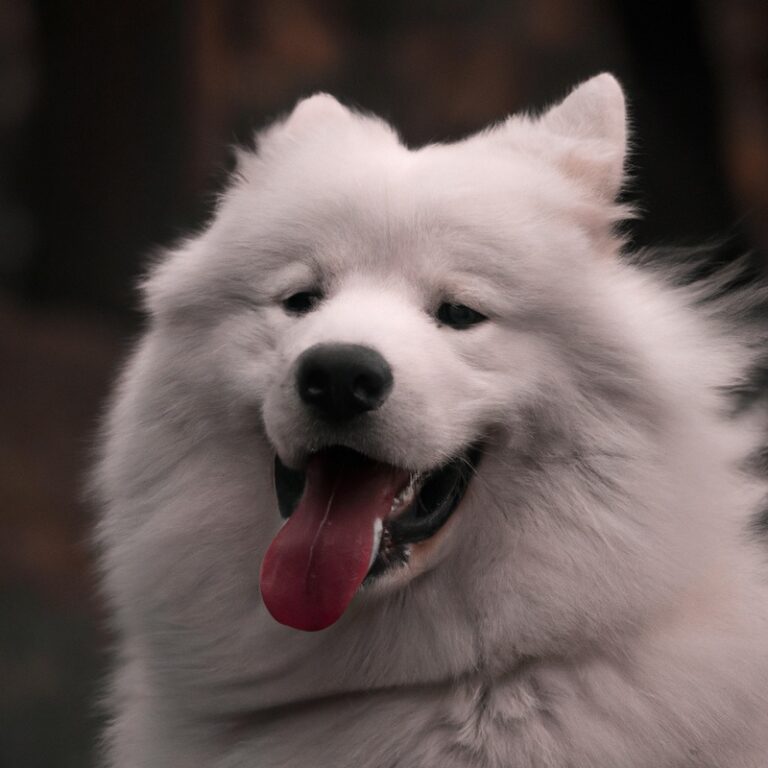 How To Deal With Samoyed’s Territorial Behavior?