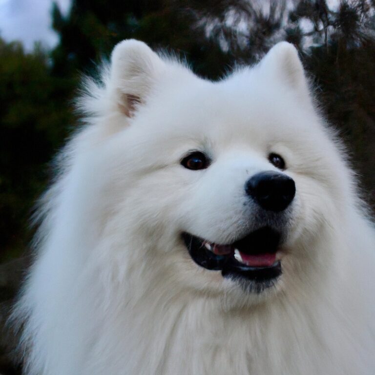 Can Samoyeds Be Trained For Search And Tracking Tasks?