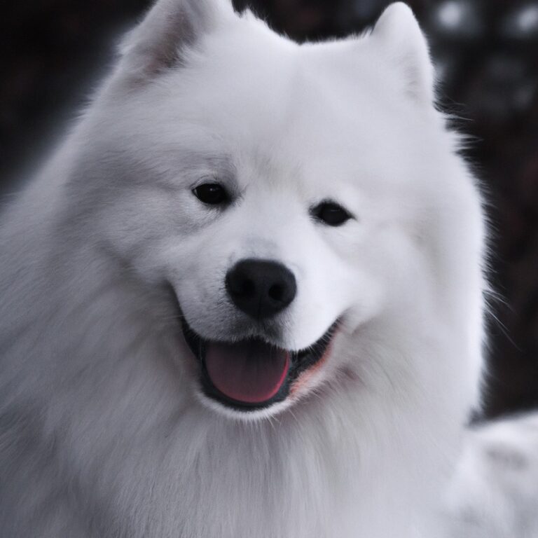 Can Samoyeds Be Trained For Nose Work Tasks?