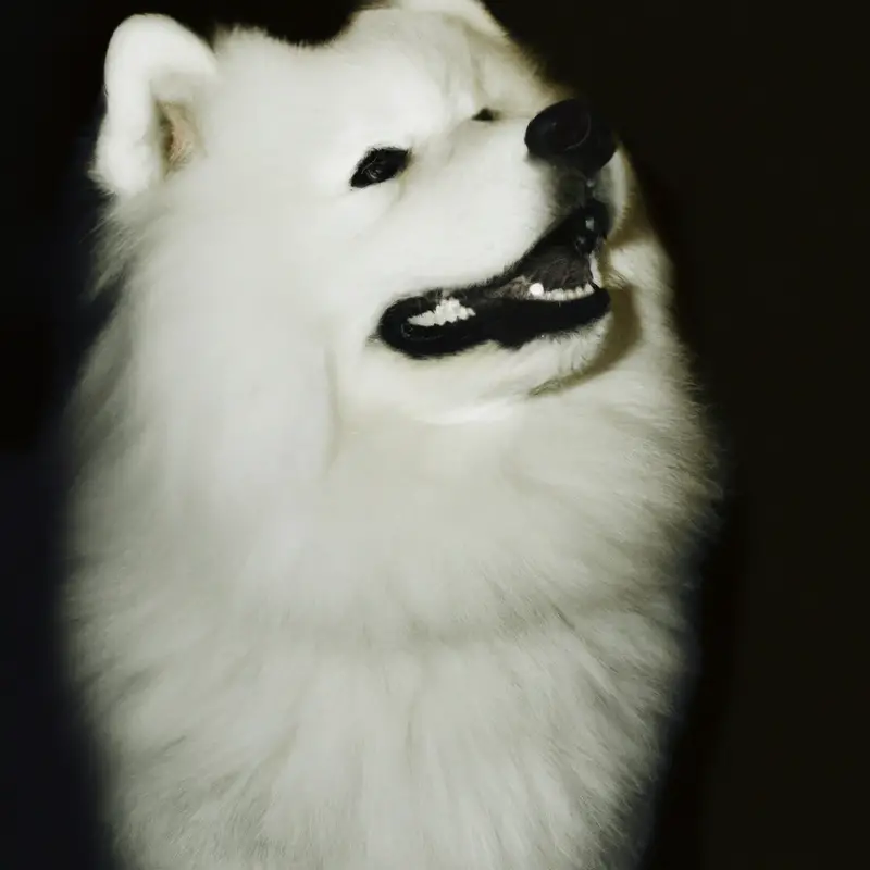 Samoyed playing in leaves