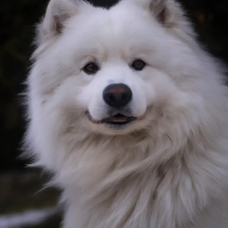 How To Prevent Samoyed From Resource Guarding?