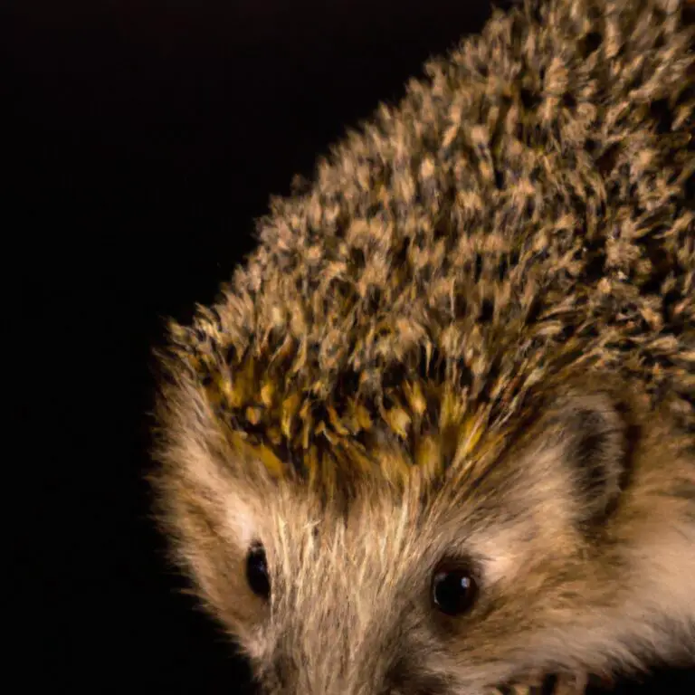 How Do Hedgehogs Navigate Through Obstacles?