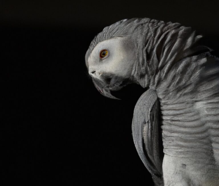 What Are The Common Health Issues In African Grey Parrots?