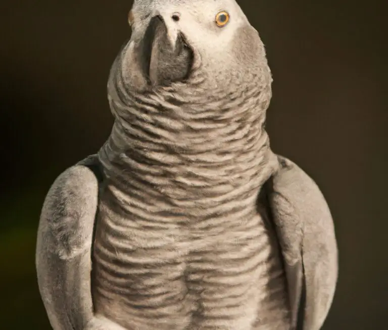 How Much Is An African Grey Parrot?