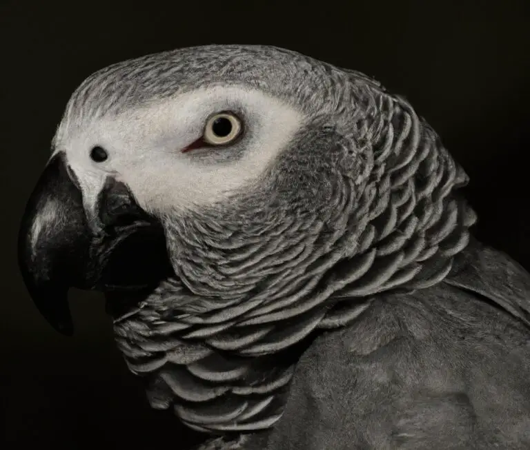 How Do I Provide Proper Lighting For My African Grey Parrot’s Cage?
