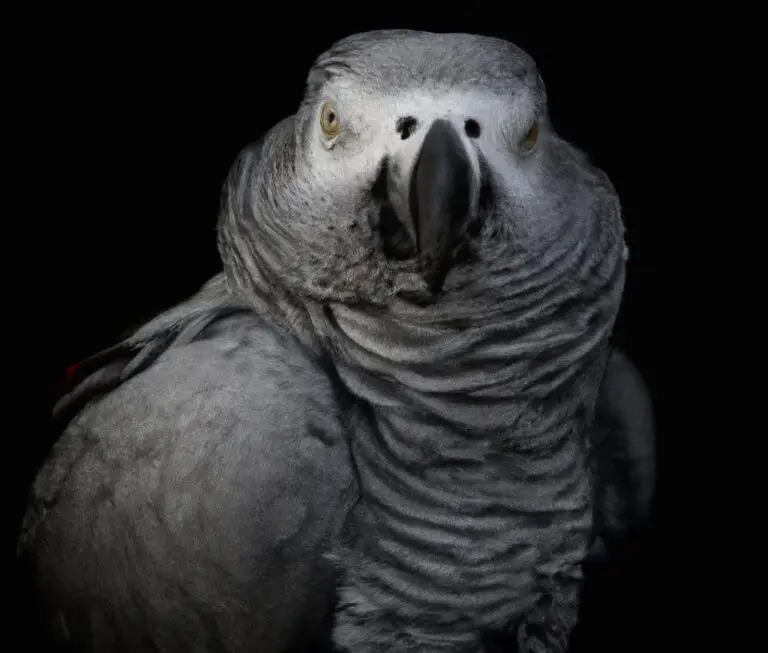 What Is The Role Of Calcium In The Diet Of African Grey Parrots?