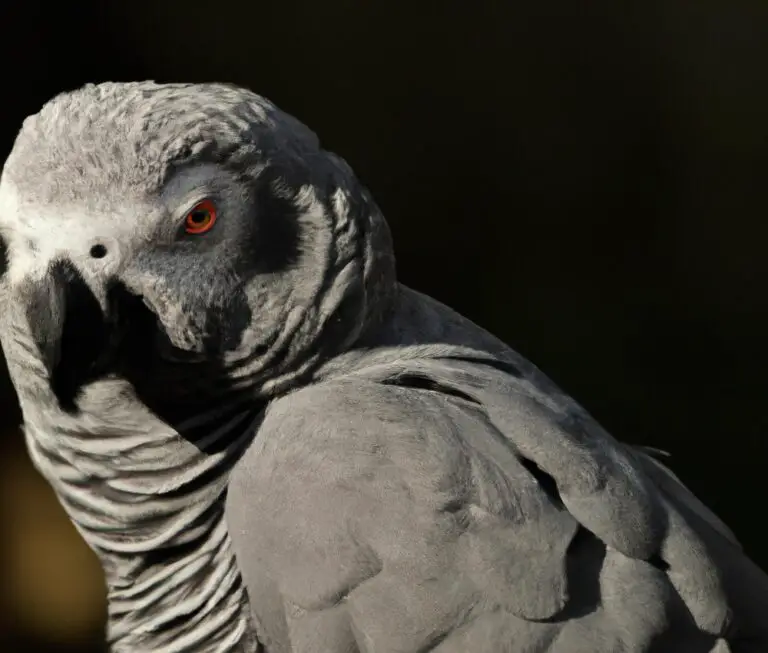 What Is The Role Of African Grey Parrots In Forest Ecology?