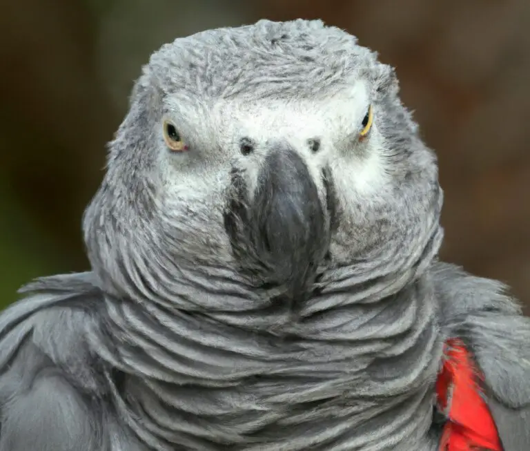 How Do African Grey Parrots Bond With Other Pets In The Household?