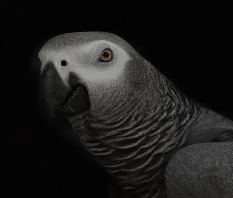 How Do African Grey Parrots Adapt To Urban Environments?